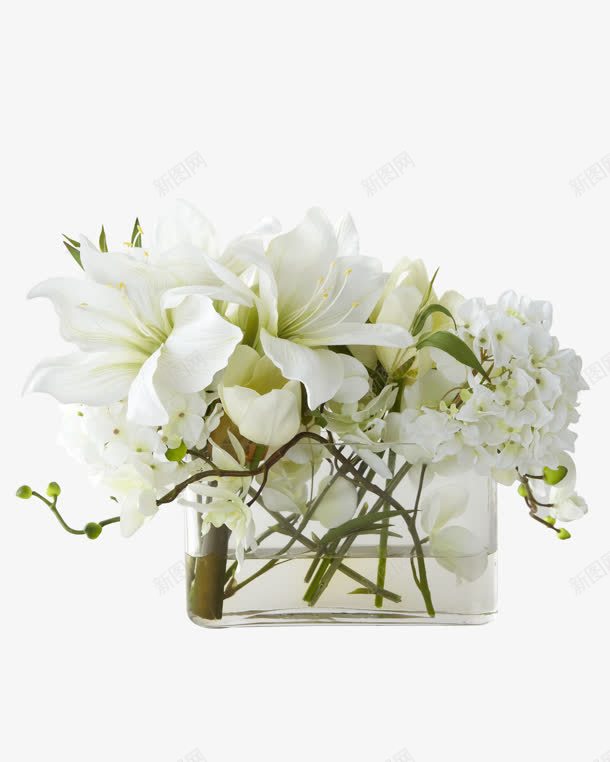 白色花瓶水瓶png免抠素材_新图网 https://ixintu.com 水瓶 白色 花瓶