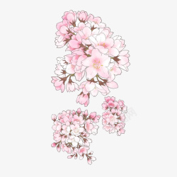 漂亮的樱花树复古手绘樱花树高清图片