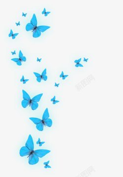 漂亮光芒发光的蓝色蝴蝶高清图片