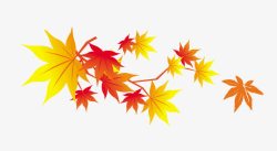 季节交替枫叶高清图片