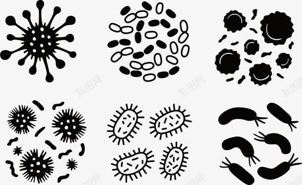 六种菌群png免抠素材_新图网 https://ixintu.com 六种 微生物 显微镜 真菌 细菌 群体 菌群