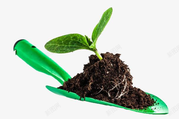 铲子上的土壤植物png免抠素材_新图网 https://ixintu.com 叶子 土块 土堆 土壤 植物 铲子