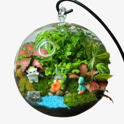 建设生态文明苔藓微景观生态瓶创意盆栽高清图片