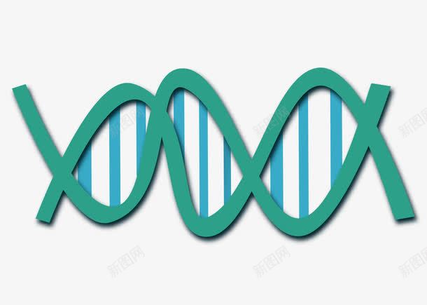 螺旋线绿色png免抠素材_新图网 https://ixintu.com DNA 分子 化学 医疗 医药 基因 生物学 研究 绿色 螺旋线 遗传
