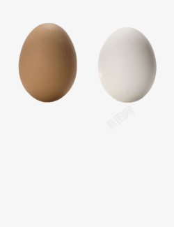 白皮鸡蛋鸡蛋高清图片