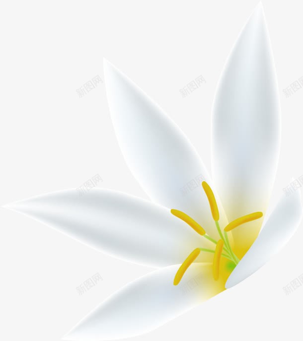 纯洁白色栀子花png免抠素材_新图网 https://ixintu.com 温馨 白色栀子花 白色花朵 白色花瓣 纯洁栀子花 黄色花蕊