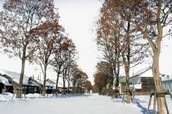 北海道开拓村街景素材