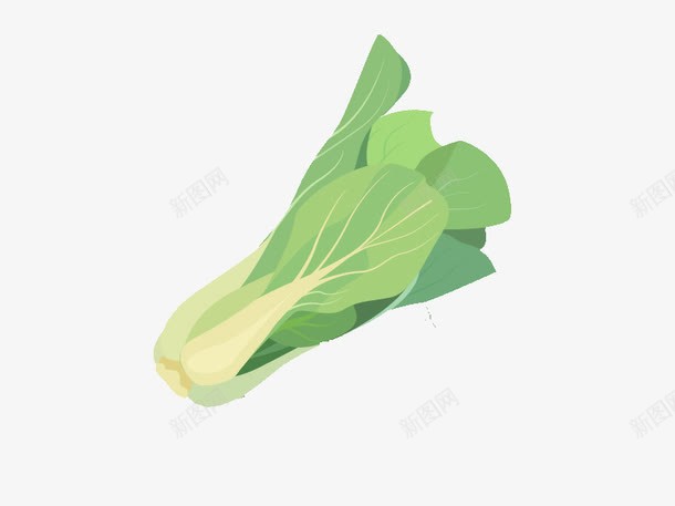 蔬菜png免抠素材_新图网 https://ixintu.com 卡通 小白菜 手绘 植物 白菜 食物
