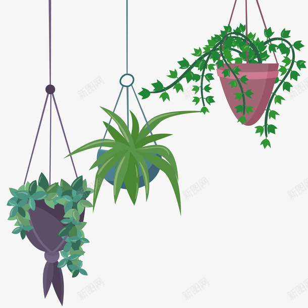 三个植物吊兰png免抠素材_新图网 https://ixintu.com 三个 三个吊篮 吊篮 吊篮PNG 植物 植物吊篮 矢量吊篮