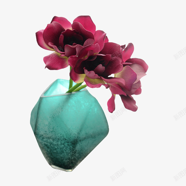 绿色玻璃杯中的花朵png免抠素材_新图网 https://ixintu.com 植物 玻璃杯 盆栽 绿色瓶子 花卉 花朵 花瓶