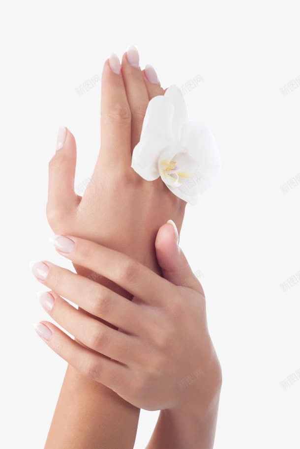 手部护理与花朵png免抠素材_新图网 https://ixintu.com SPA 养生 手 美甲 花朵