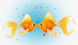 小鱼吐泡泡两条黄色亲吻的小金鱼高清图片