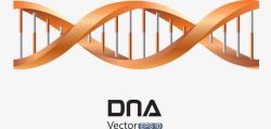 鍩哄洜妫桔红色DNA高清图片