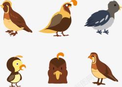 矢量生态动物鹌鹑谷画鸟插画高清图片