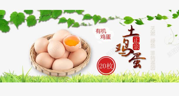 土鸡蛋促销png免抠素材_新图网 https://ixintu.com 促销 土鸡蛋 绿色 美食