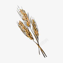 透明小麦高粱png手绘麦穗高清图片
