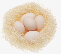 鸟窝蛋类蛋素材