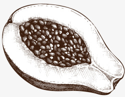 脆瓜小菜手绘半个木瓜黑色素描高清图片