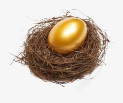 鸟巢中的金蛋鸟巢金蛋高清图片