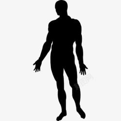 人的身体人体站立的黑色剪影图标高清图片