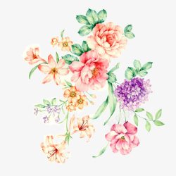 花方框手绘唯美水彩花朵花卉高清图片