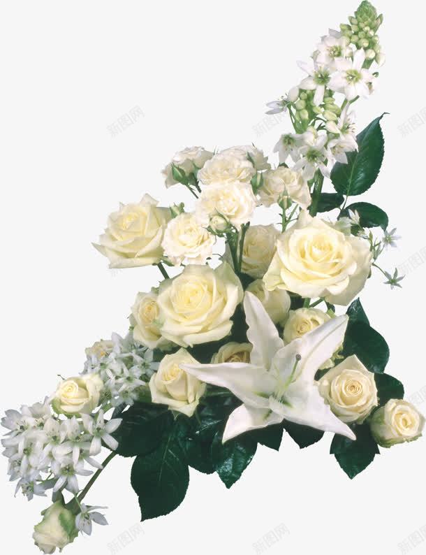一束白色玫瑰花装饰png免抠素材_新图网 https://ixintu.com 一束 玫瑰花 白色 装饰