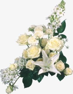 一束白色的花一束白色玫瑰花装饰高清图片
