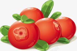 食品蔬果素材新鲜蔓越莓高清图片