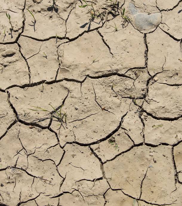 地面 乾枯地面裂紋圖片 乾枯地面裂紋圖片素材下載 乾枯的土地 乾涸