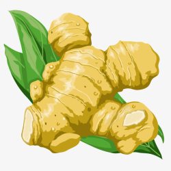 美味生姜美味生姜高清图片