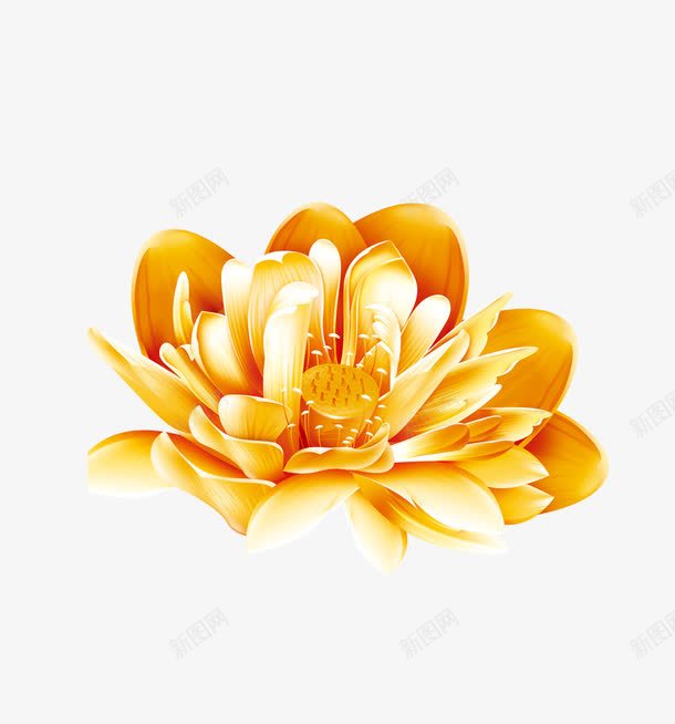 花卉专辑png免抠素材_新图网 https://ixintu.com 水彩 花儿 花卉 金色 金色的花 黄色
