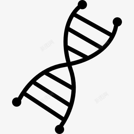 DNA图标png_新图网 https://ixintu.com DNA DNA结构 医学 教育 生物学 科学 脱氧核糖核酸 遗传