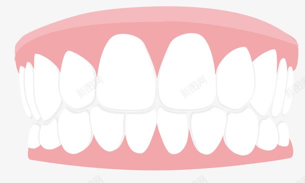 粉白色卡通牙齿png免抠素材_新图网 https://ixintu.com 卡通 卡通牙齿 卡通风格 扁平风格 牙医 牙医元素 粉白色
