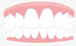 粉白色卡通牙齿素材
