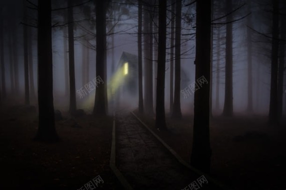 黑夜森林木屋灯光背景