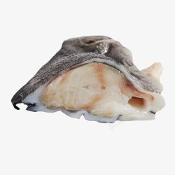 冷冻海鱼进口海参斑高清图片