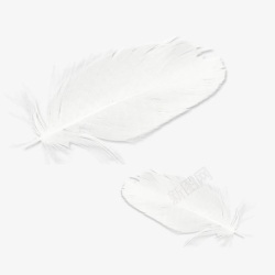 白色羽毛图案素材