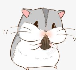 可爱松子吃松子的松鼠高清图片