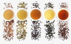 绿茶干茶叶茶叶高清图片