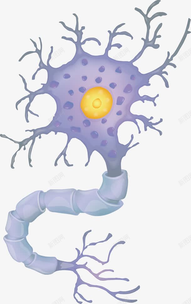 神经元组织png免抠素材_新图网 https://ixintu.com 生物结构 矢量素材 神经元 神经结构