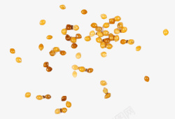 小米粒未脱皮的黄色小米粒高清图片