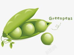 绿色外壳一个豌豆高清图片