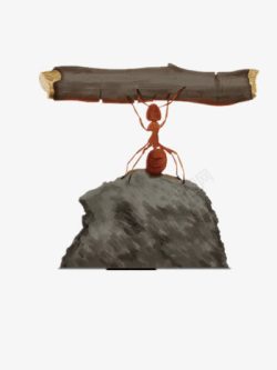 励志蚂蚁蚂蚁站在石头上举着树枝坚持高清图片