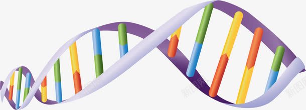 手绘基因排列png免抠素材_新图网 https://ixintu.com DNA 基因 手绘 排列