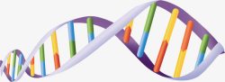 基因排列手绘基因排列高清图片