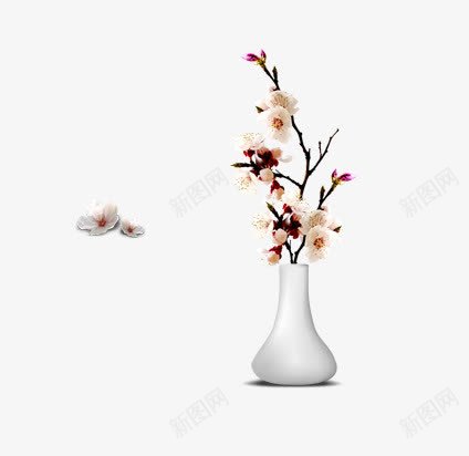 花瓶中的花朵png免抠素材_新图网 https://ixintu.com png素材 花瓶中的花朵