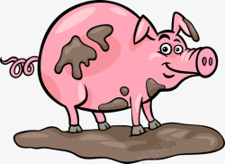 满身满身泥巴的小红猪高清图片