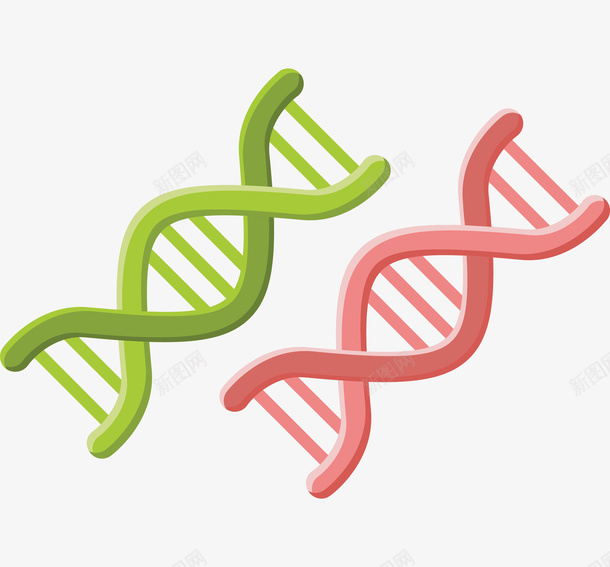 手绘DNA模型图png免抠素材_新图网 https://ixintu.com DNA模型 分子 创意 卡通手绘 粉色 绿色 螺旋状