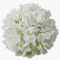 绢花白色花球高清图片