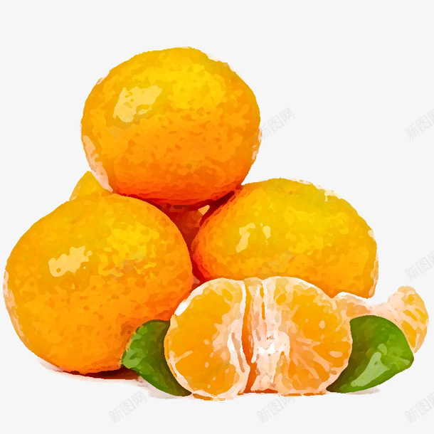 水果橘子png免抠素材_新图网 https://ixintu.com 彩绘 手绘 桔子 橘子 水彩画 水果 食物 黄色